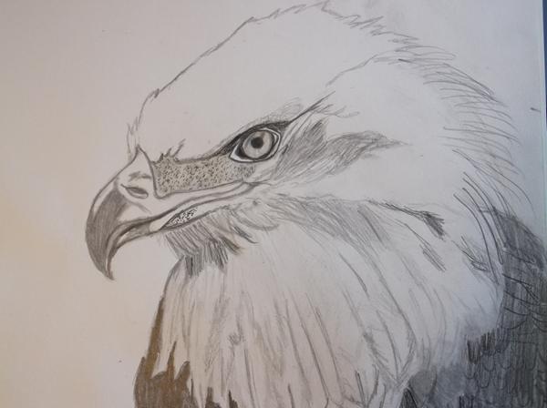 Ny tegning, hvad synes I?