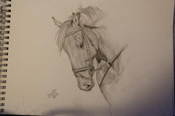 Gratis tegning anyone? 