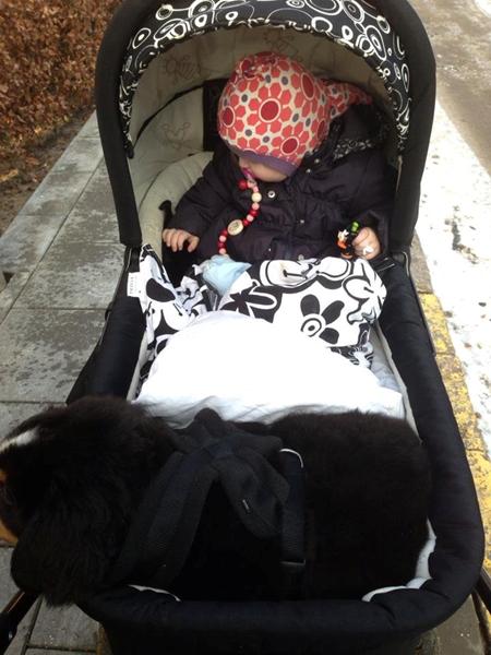 Synes lige i skulle se det her :) 