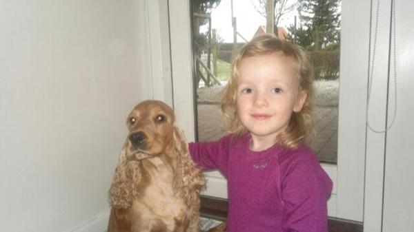 Falsterfolk - HJÆLP - find Nelli!