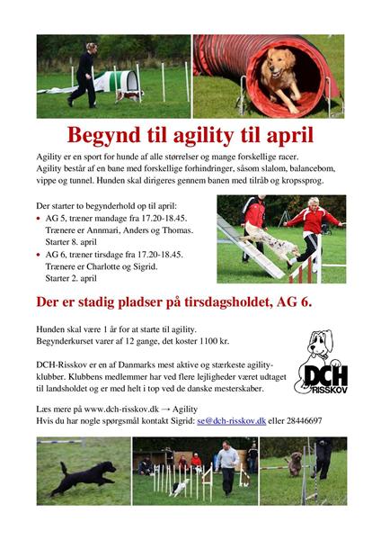 Begynd til agility i april i DCH Risskov