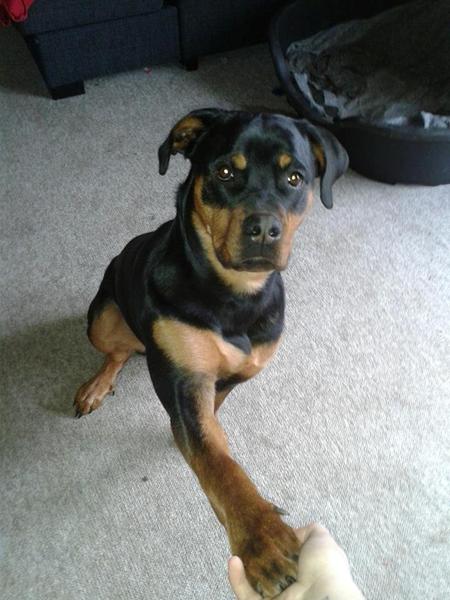 Min prinsesse fylder 1 år i dag :')