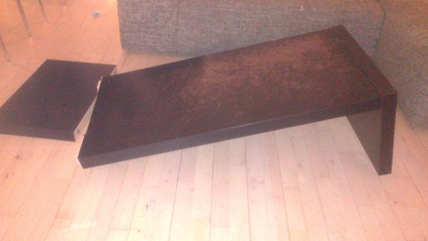 Et stk skræmt hund + et stk ødelagt sofabord