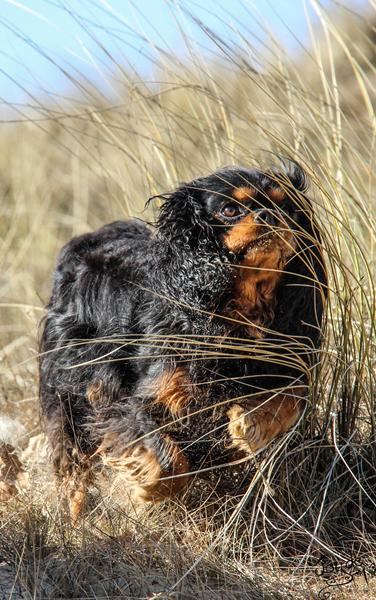 Et billede jeg er stolt af