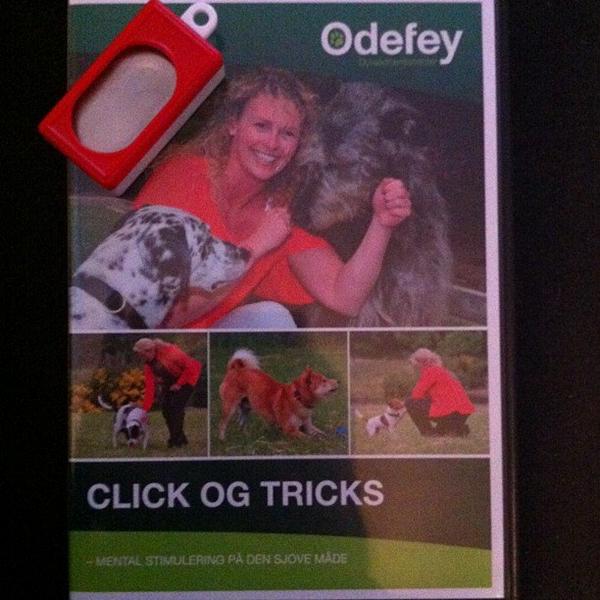 kan klart anbefales (click træning)