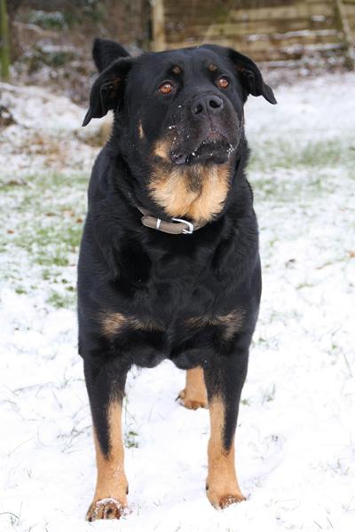 udfordringer søges :)