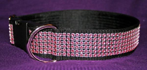 Nyt halsbånd - jubii! 