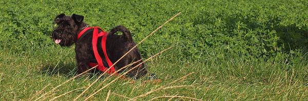 Sy-selv-seler maskine, webbing og fleece??