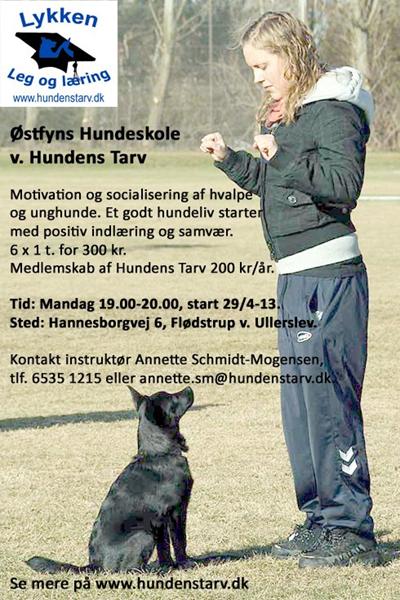 Positiv træning under Hundens Tarv