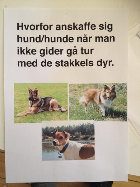 Naboer Naboer hvor jeg dog elsker jer.. NOT!