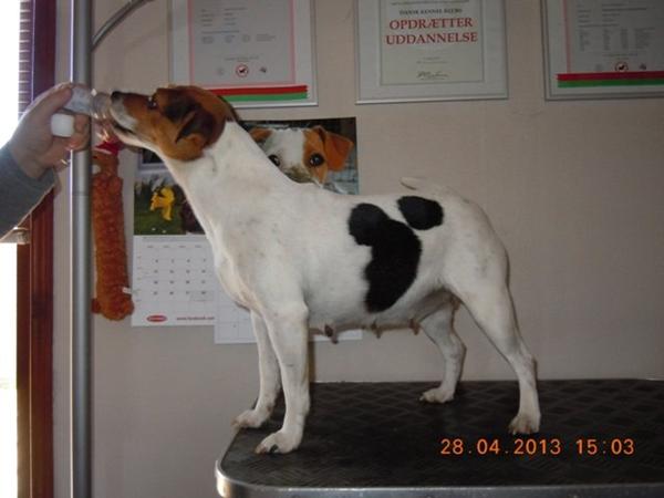 Min Bianca er nu 5 uger henne - se billeder her