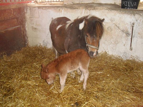Lille ny kom til verden 3.12 i morges
