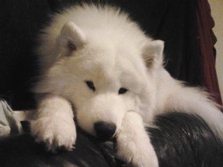 Skaber sig når jeg/vi går.