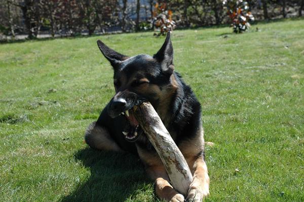 Dejlig, men noget overraskende dag.