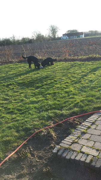 sikke en start på weekenden, heldigvis slutter den pragtfuldt.