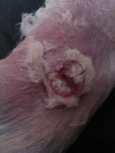 update af mystisk knude på benet 