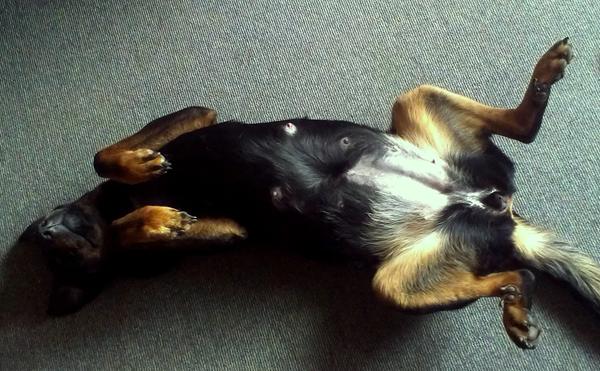 7 er jo sådan et dejligt rundt tal :)