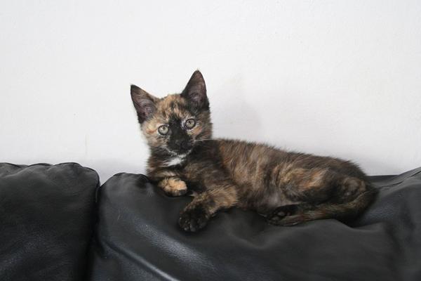 Mød vores nye prinsesse ;) Hvad skal hun hedde ? 