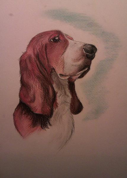 Søger modeller til klassisk tegning