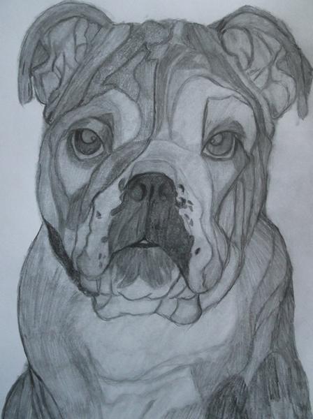 Ny tegning . . . . hvad synes I? :) 