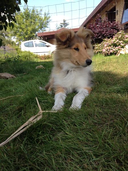 Hvad gør i i varmen? 