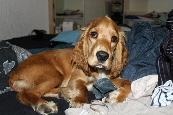 Til jer fra Odense/omegn