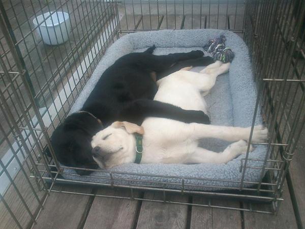 så er vi ved at være hvlapeklar