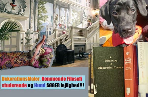 Lejlighed i KBH med hund.. HJÆLP