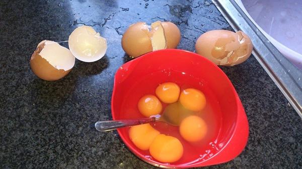 Økologi der kan betale sig ;)