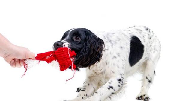 Alt om træning (Gruppe) 
