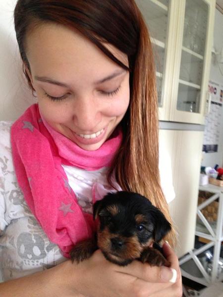 Navn til lille yorkie pige