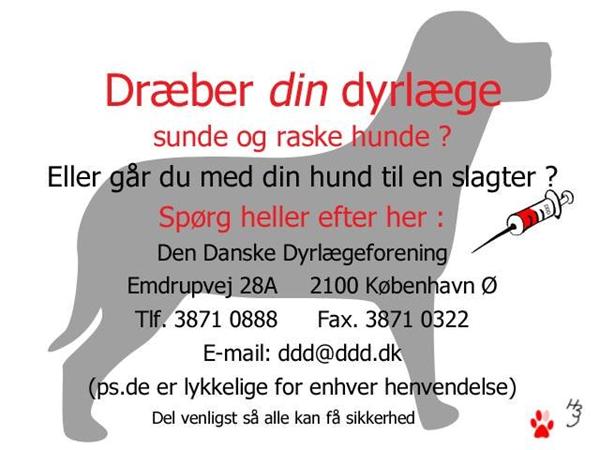 Dræber din dyrlæge raske hunde