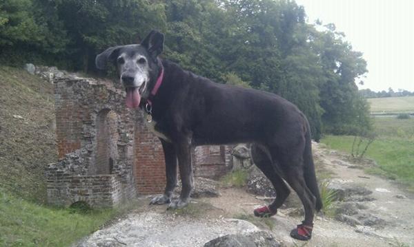 Hun holder sig sgu da godt.