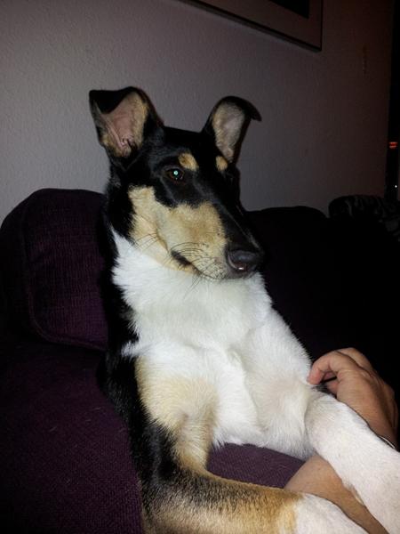 Bliver sur midt i leg