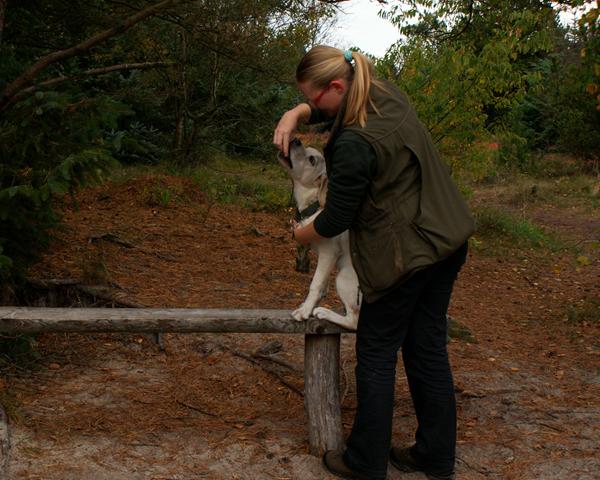 Jeres tur eller træning i dag?
