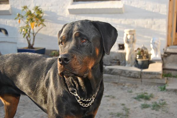 GIK FORBI MIN NYE GRUPPE 