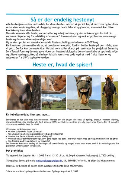 Seminar i Jelling for alle heste elskere