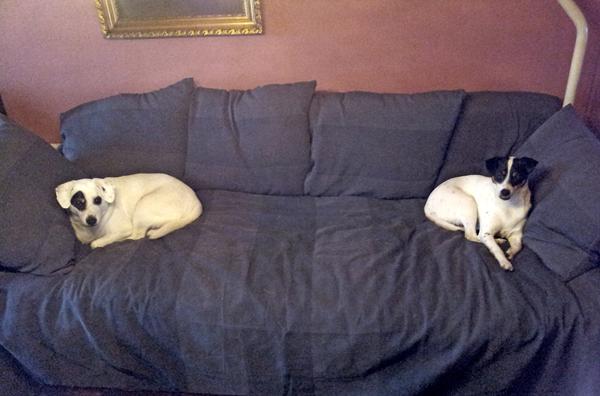 gode tilbud på godbider hvor ?