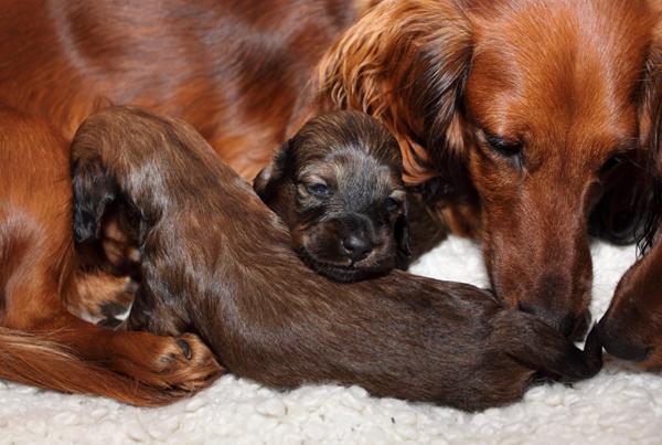 Gode ting der skal undersøges...