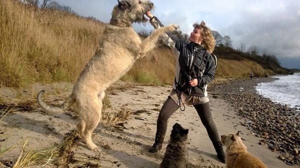 dagens glade hopla-dreng