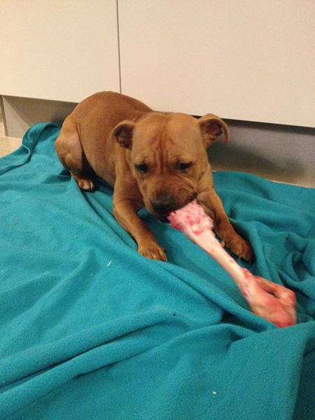 Hvad laver i her til aften? :-)