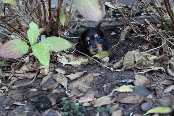ÅHH.. så kom dagen :-( snøft snøft snøft!!!