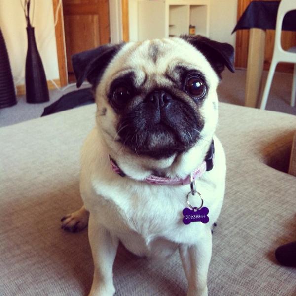 emne uden mening - men en dejlig dag! :D