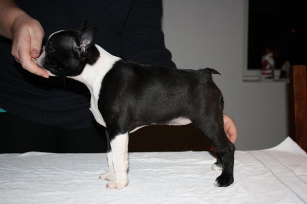 Opstilling... åh det er svært.