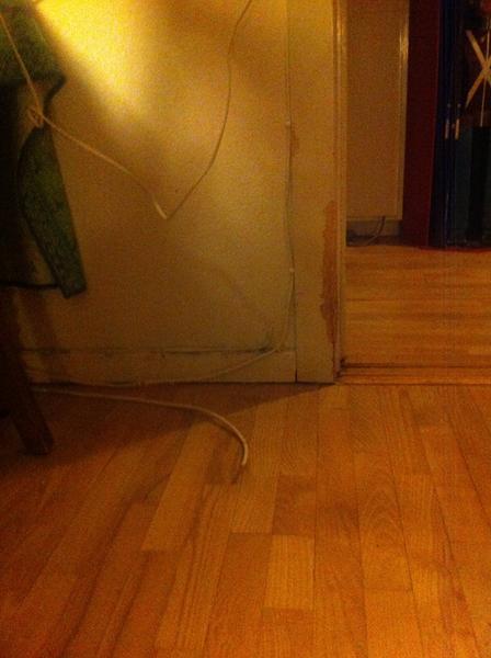 Min hund bider i ledninger og dørkarme?