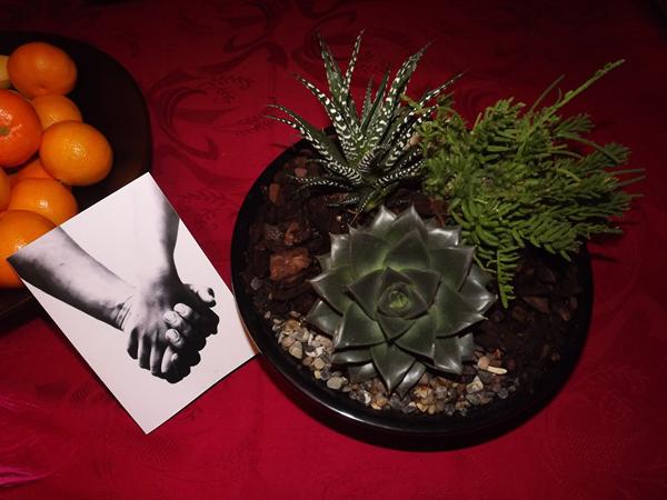 Øøøøh Interflora o.O