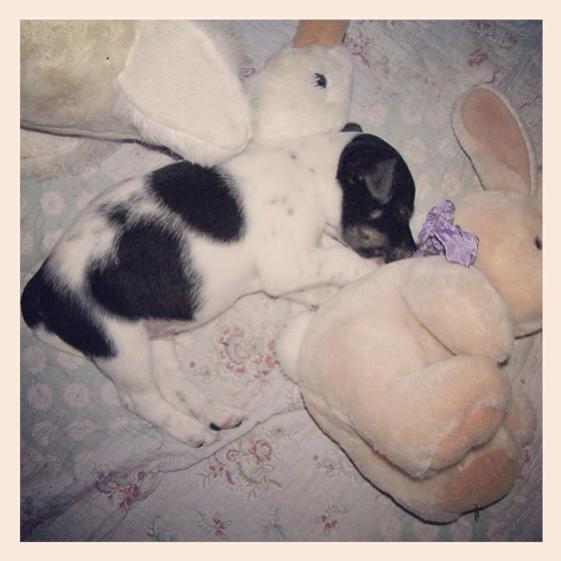 Vil lige præsentere..