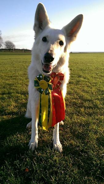 Rally begyndermester - SÅ stolt! 