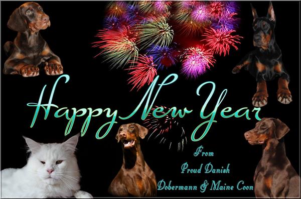 Godt Nytår fra Kennel Proud Danish