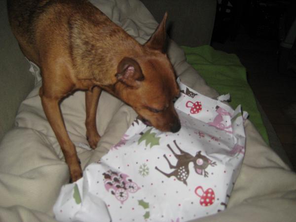 I dag er det Mailo`s fødselsdag, hurra hurra hurraaaa :-)